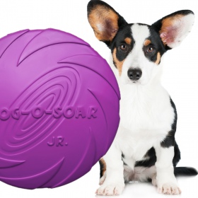 Disco in gomma Frisbee Viola 22cm