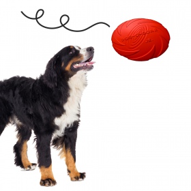 Pet Nova red rubber frisbee - 15cm