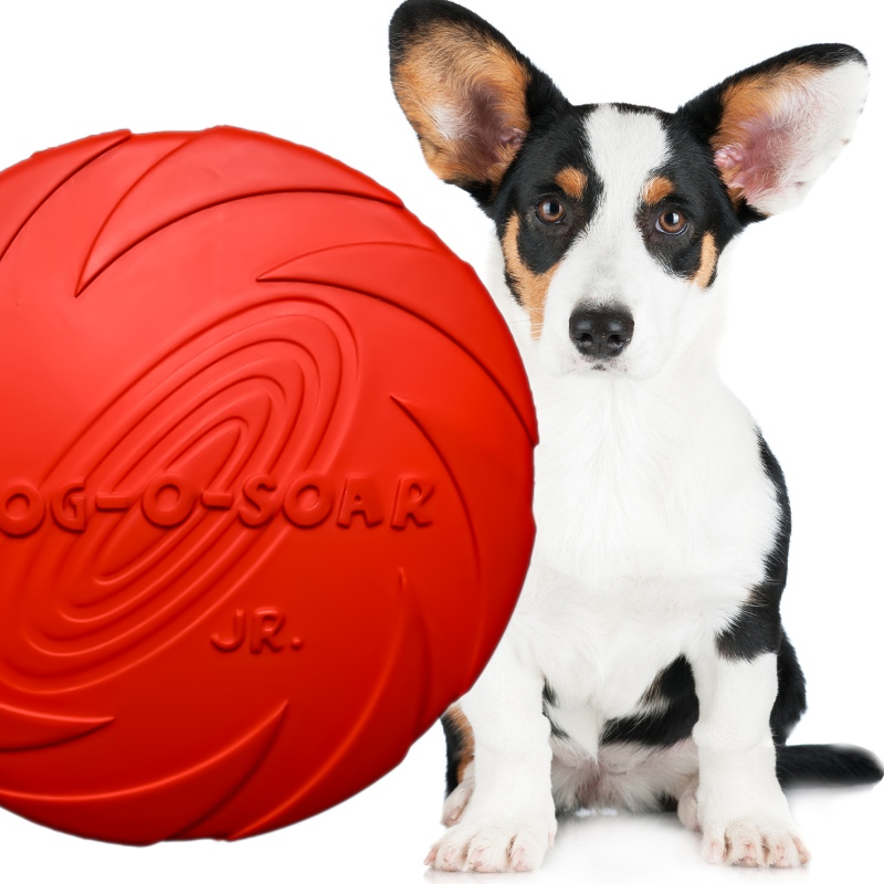 Frisbee für Hunde - Roter Disk 15 cm