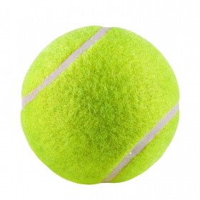 Pet Nova toy - floating tennis balls