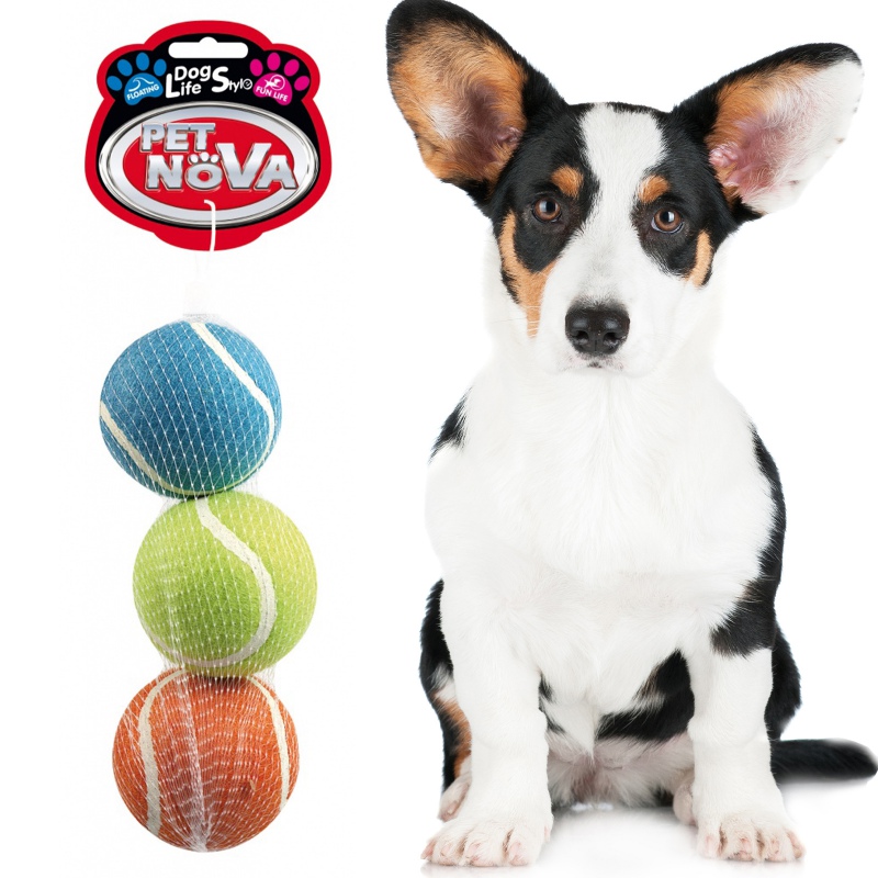 Pet Nova toy - floating tennis balls