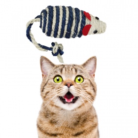 Pet Nova mouse toy for cats, 10x5cm