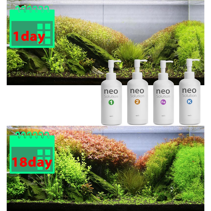 Neo Solution 1 Fertilizer 1000ml