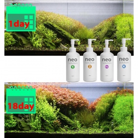 Neo Solution 2 - engrais pour plantes aquatiques