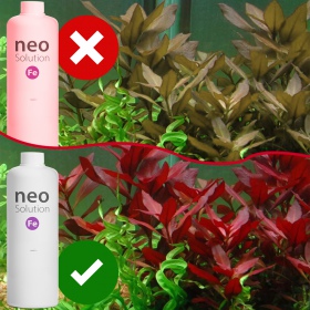 Neo Solution Fe 1000ml - Hierro en Líquido