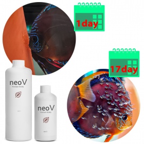 Neo V 1000ml pour poissons