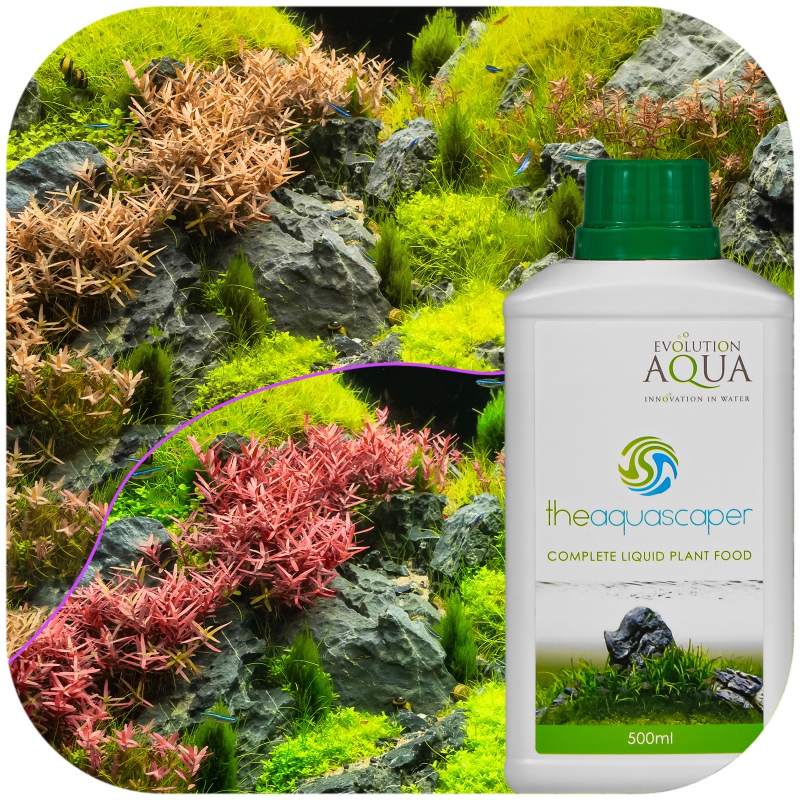 Evolution Aqua Aquascaper Plantfood 500ml