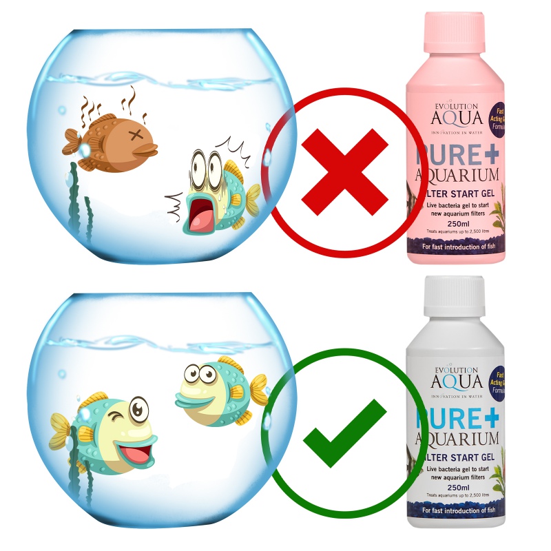 Evolution Aqua Pure+ Akvárium Gél Baktériumok