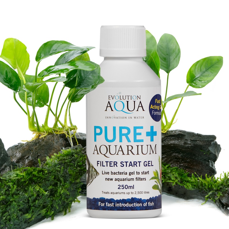 Gel de bacterias Evolution Aqua Pure+