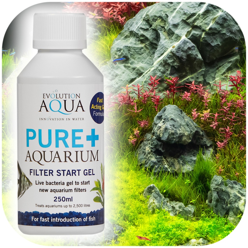 Evolution Aqua Pure+ - Bakterie w Żelu, 250ml