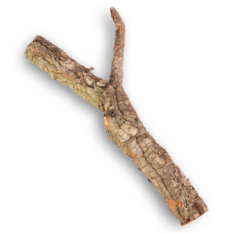 Solid Cork Oak Tree 40cm - Great for Reptiles