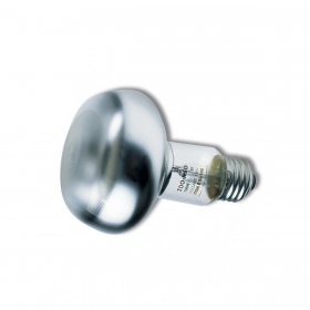 Zoomed Repti Basking Spot Lamp - 2 Bulbs