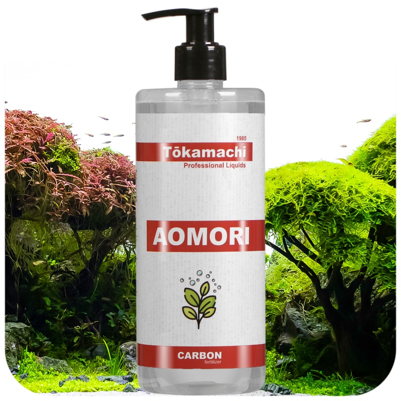 Tokamachi Aomori carbonio liquido 500ml