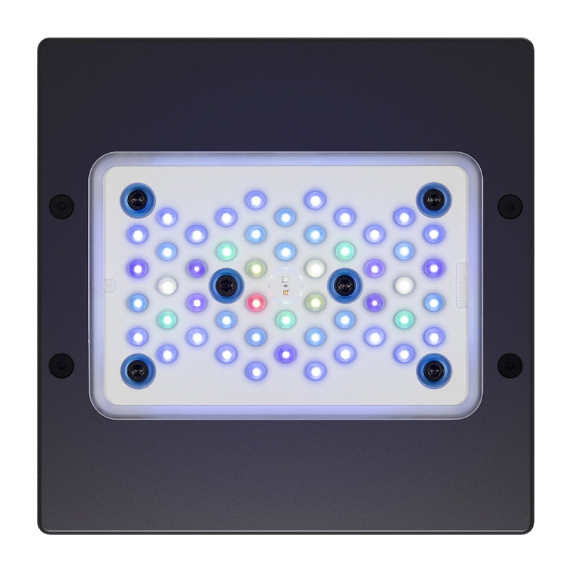 Ecotech Radion XR15 G6 Blue Led Light per acquario