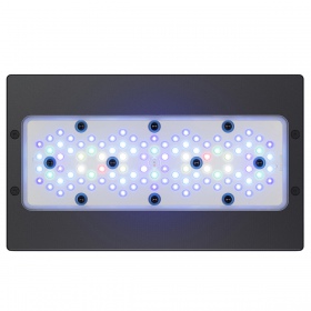 Ecotech Radion XR30 G6 Blue - oświetlenie LED