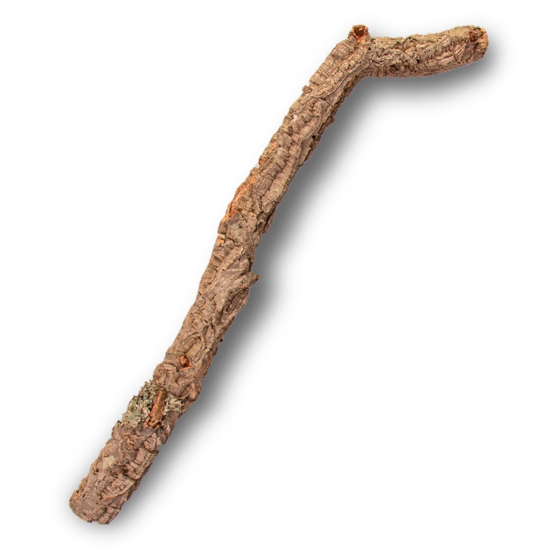 30cm Cork Oak Branch for Reptiles