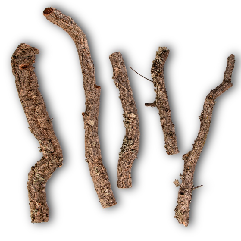 30cm Cork Oak Branch for Reptiles