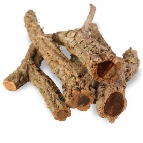 40cm Cork Oak Branch for reptiles