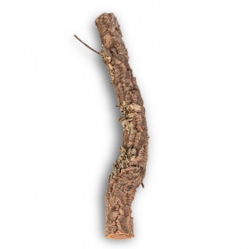 40cm Cork Oak Branch for reptiles