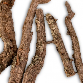 40cm Cork Oak Branch for reptiles