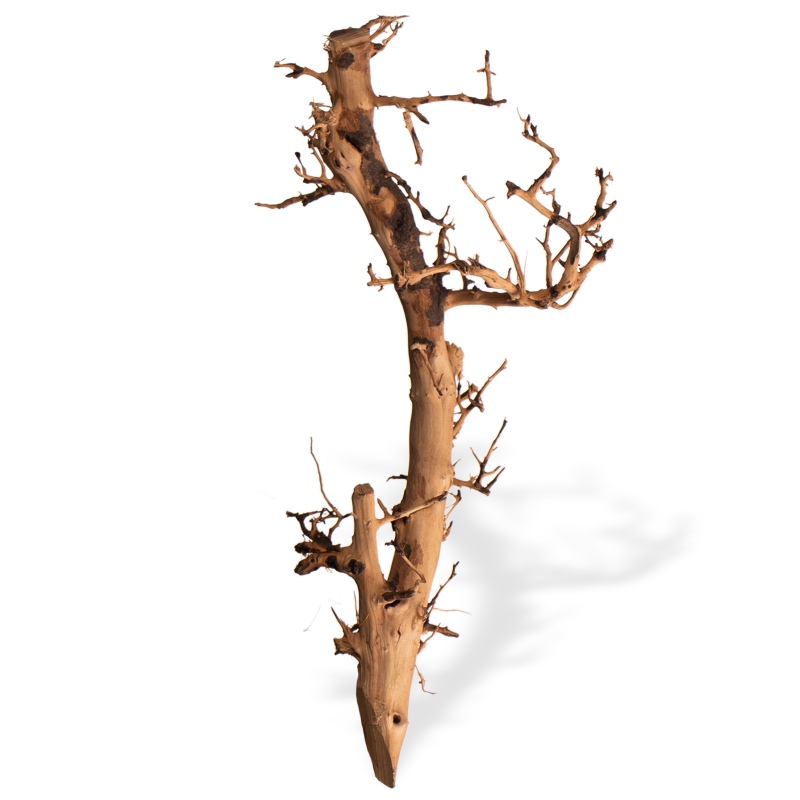 Filipijnen Driftwood - decoratieve wortel