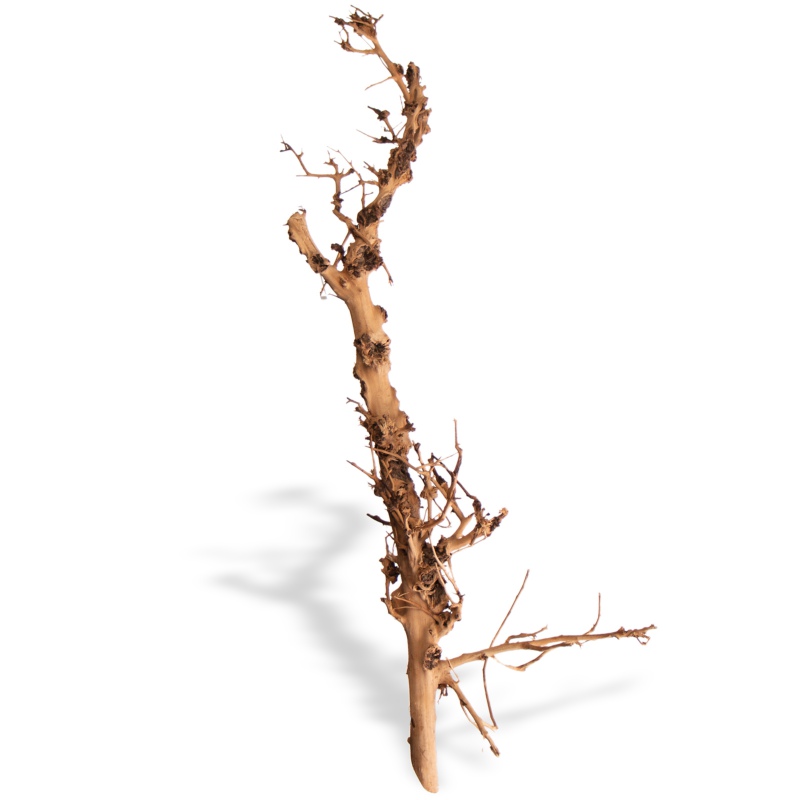 Filipijnen Driftwood - decoratieve wortel