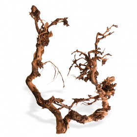 Dekorative Driftwood Wurzel für Aquarien & Terrarien