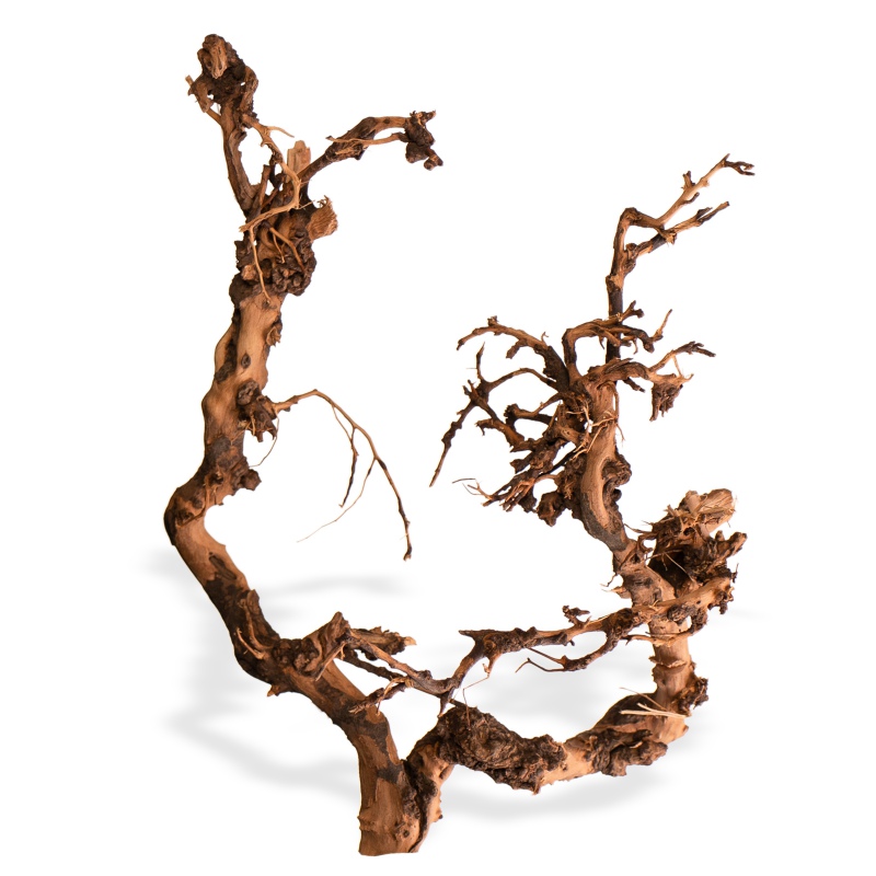 Dekorative Driftwood Wurzel für Aquarien & Terrarien