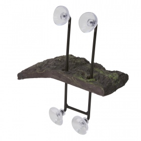 ZOOMED Turtle Dock for turtles