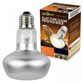 Lampadina Riscaldante Tipo Piatto 50W