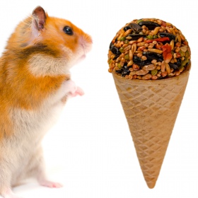 Gami Vegetable Cone for Rodents