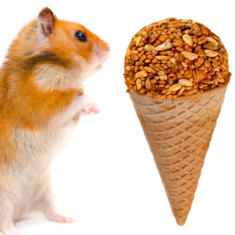 Gami Honey Cone for rodents