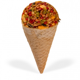 Gami Nutty Cone for rodents