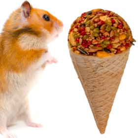 Gami Nutty Cone for rodents