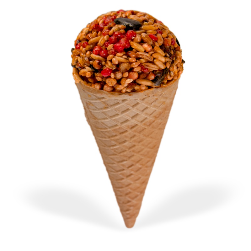 Gami Fruit Cone for Rodents