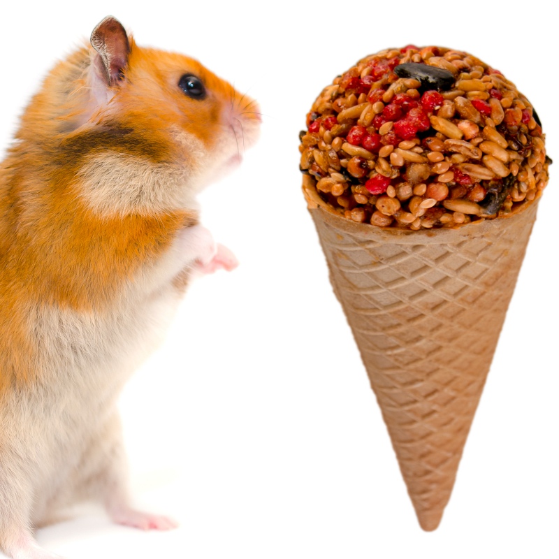 Gami Fruit Cone for Rodents