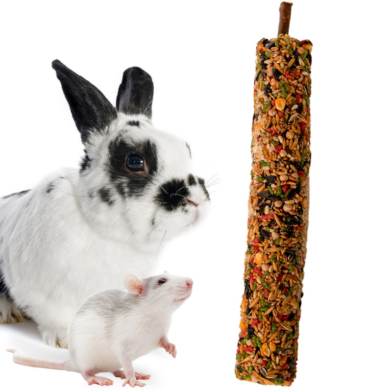 Gami Kolba XXL Hazelnut for rodents