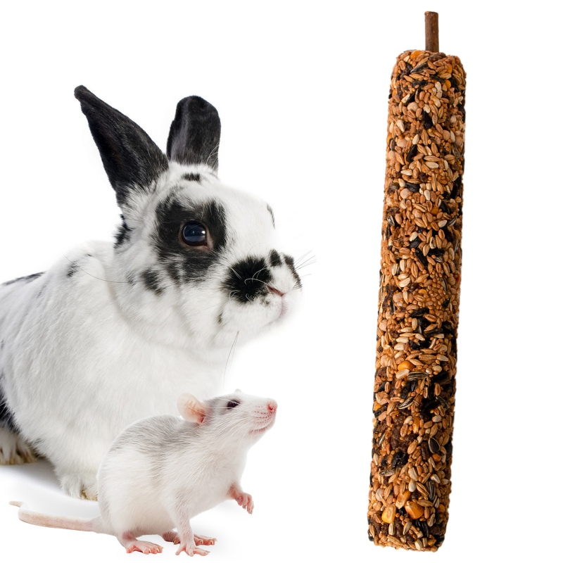 Gami Kolba XXL Chocolate for rodents