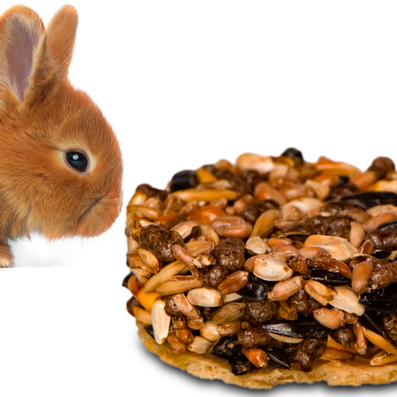 Gami Schokoladen-Leckerli - Snack für Nagetiere