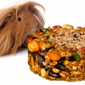 Gami Sesame Snack for Rodents - 1 Piece