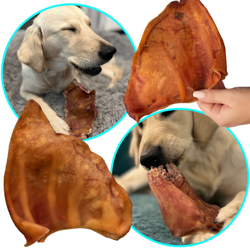 Dogario Bonni Pig's Ear L - large pork ear chew