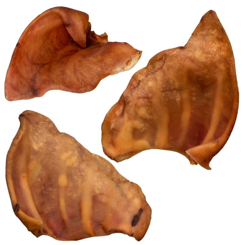 Dogario Bonni Pig's Ear L - large pork ear chew