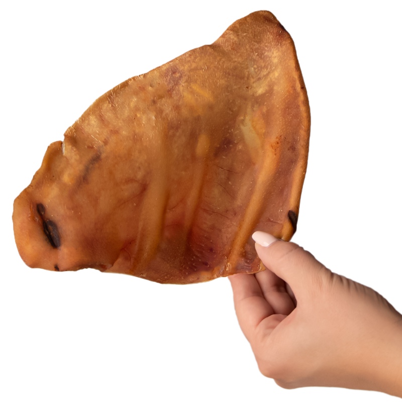 Dogario Bonni Pig's Ear L - large pork ear chew