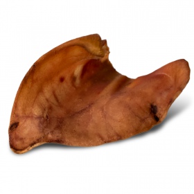 Dogario Bonni Pig's Ear Chew for Dogs