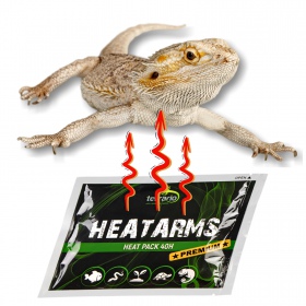 Terrario Heatarms Heat Pack 40H - ogrzewacz transportowy