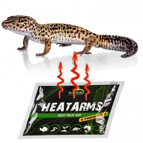 Terrario Heatarms Heat Pack 40H - ogrzewacz do transportu zwierząt - 1000 sztuk