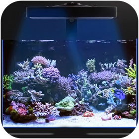 Jebao ML-120 - Lampe für ein Meerwasseraquarium