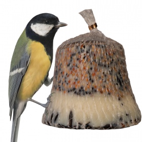 Gami Fat Bell 6 pieces for wild birds