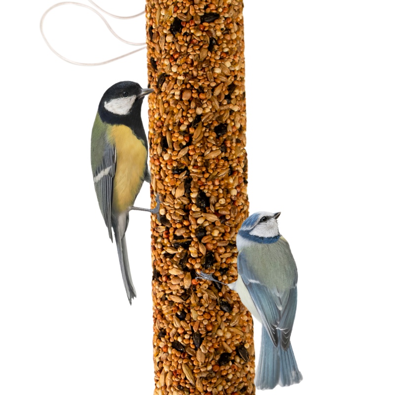 Gami Kolba XXL bird food for winter