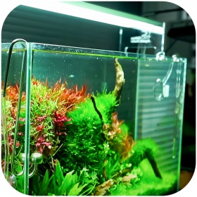 Chihiros A II 901 Max - Effiziente LED-Aquarienbeleuchtung